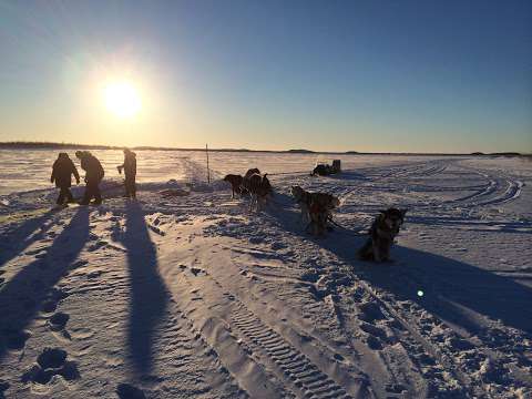 Atim Ostogwan Dog Sledding And Boat Tours